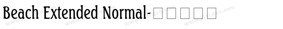 Beach Extended Normal字体转换